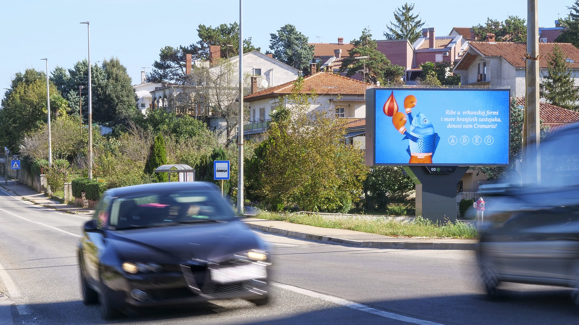 Pazin dBillboard - Image 2